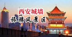 日本老妇出水bb中国陕西-西安城墙旅游风景区